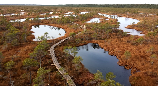 Visit Kemeri National Park & Baltic Seaside Tour Bog Boardwalk in Jurmala, Latvia