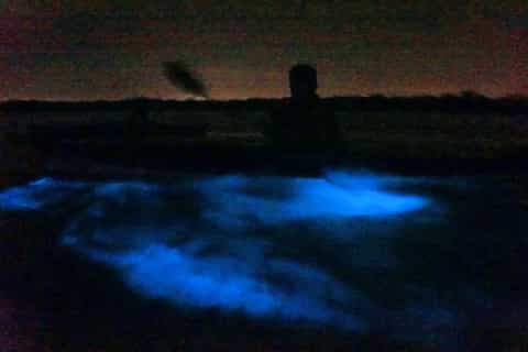 Orlando: Bioluminescence Kayak Tour