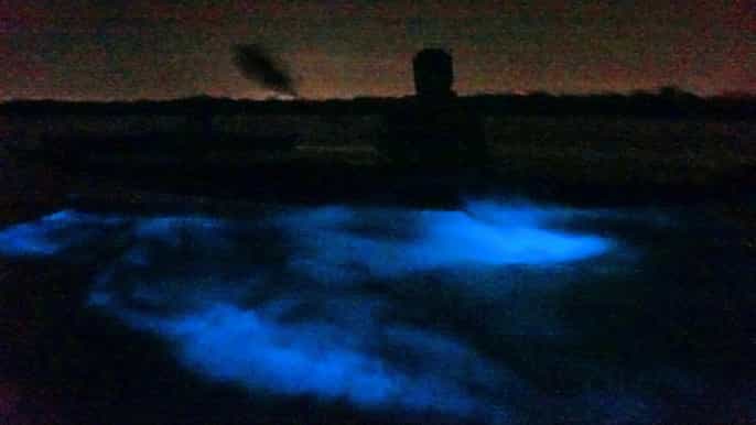 orlando bioluminescence kayak tour