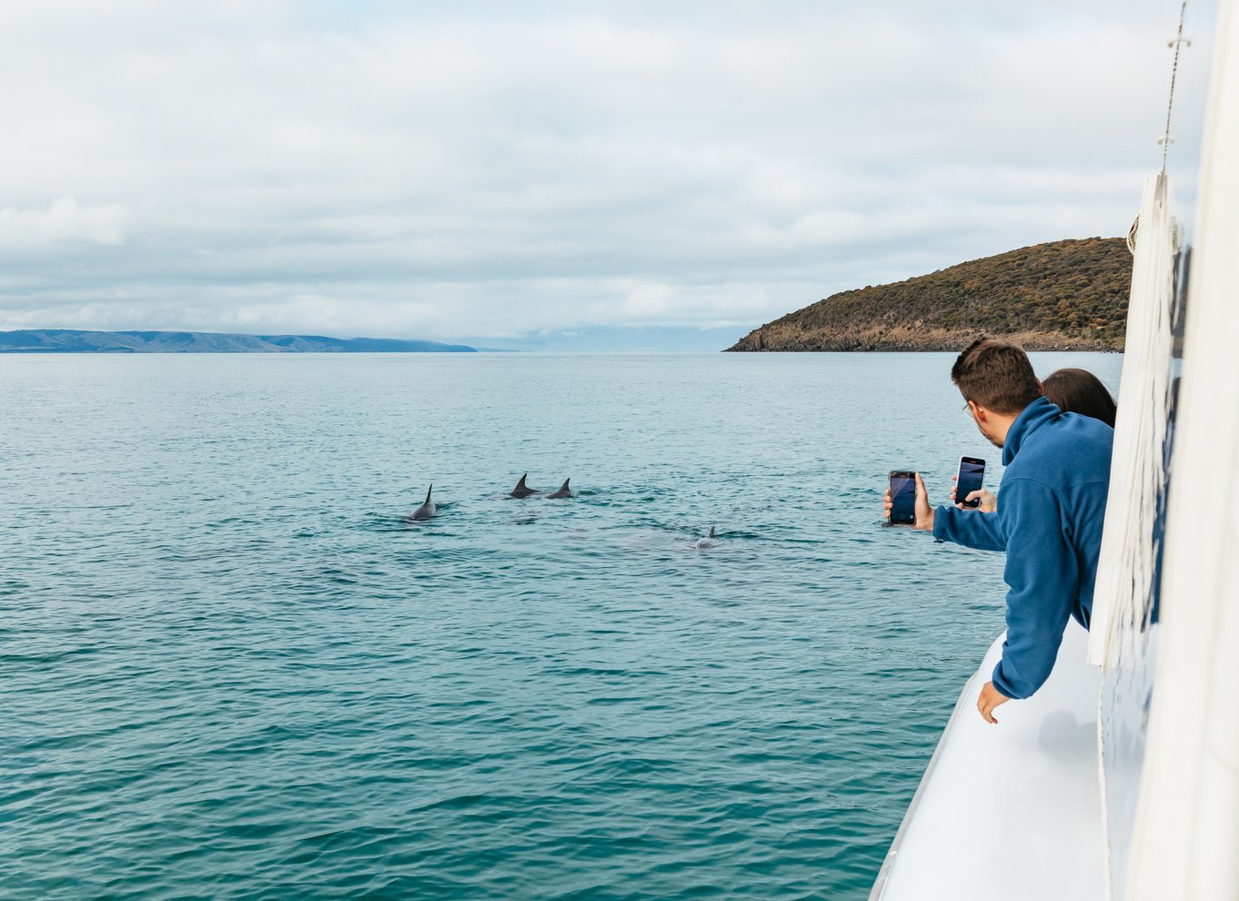 Kangaroo Island: 75-minutters kystsafari