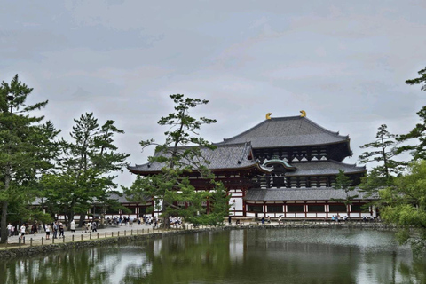 Nara Hidden Gems: Deer, Tsubosaka-dera, Kasuga & Naramachi