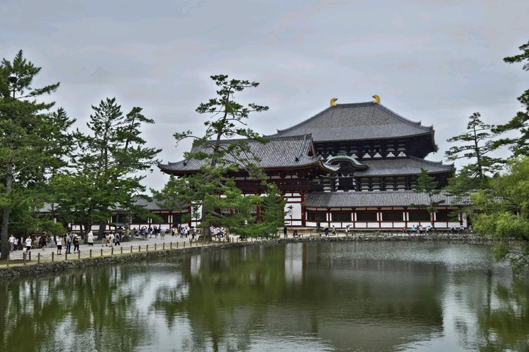 Nara Hidden Gems: Deer, Tsubosaka-dera, Kasuga & Naramachi