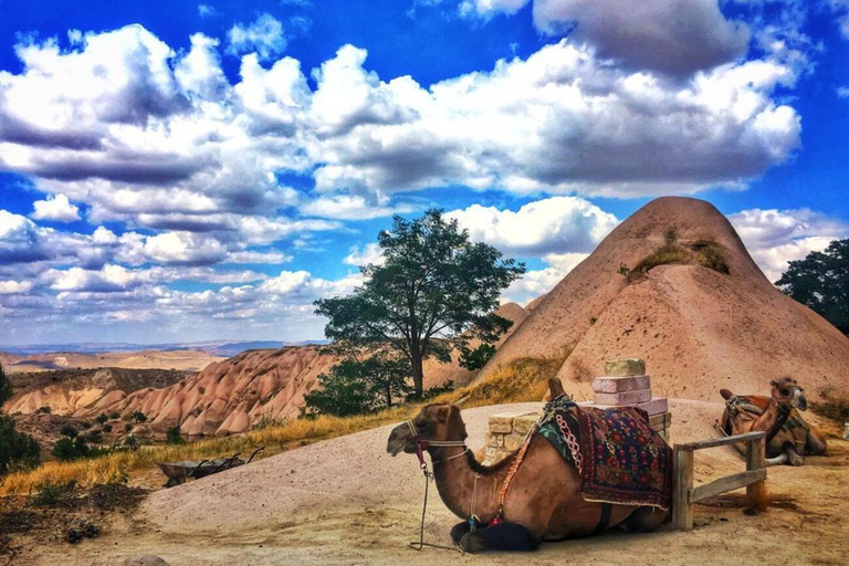 Cappadocia Mix Tour: Highlights of Green & Red Tour Private option with Japanese/English/Spanish-speaking guide.