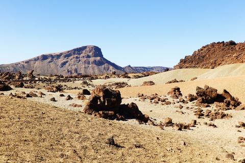 Tenerife: Parque Nacional Teide e Parque Rural Teno Tour PrivadoPasseio com Traslado de Hotel