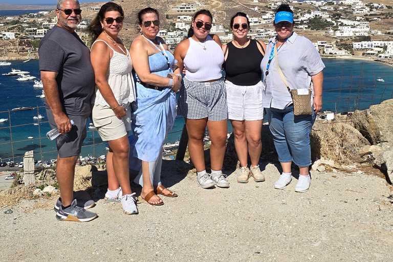 4 uur privétour op het eiland Mykonos per luxe minibus