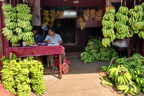 Passeio de bicicleta pelo Bom Dia Kochi