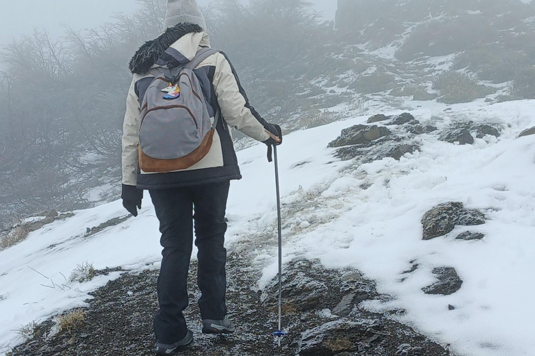 Cerro Otto Hike – Lengas Trail and Viewpoints in Bariloche