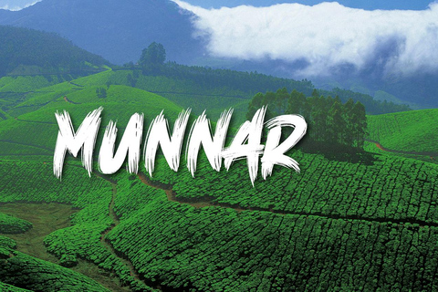 Kerala : Circuit familial de 6 jours avec Munnar, Thekkady et plus encore