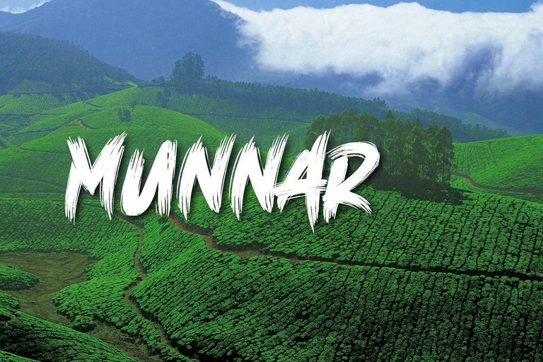 Kerala: tour di 6 giorni per famiglie con Munnar, Thekkady e altro ancora