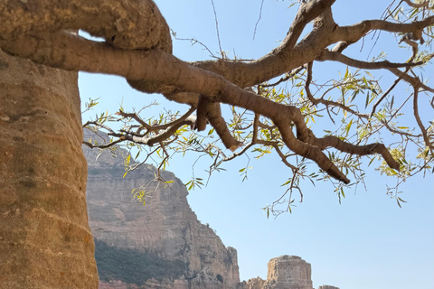 Addis Ababa: 10-Day Ethiopia Tour with Flights and Hotels