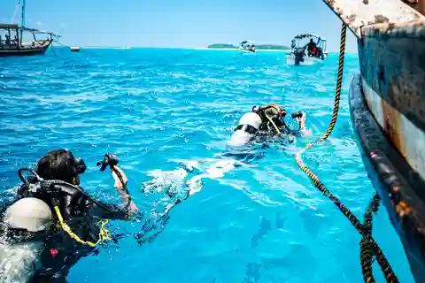 Zanzibar 1 dia de mergulho duplo, experiência de viagem azul