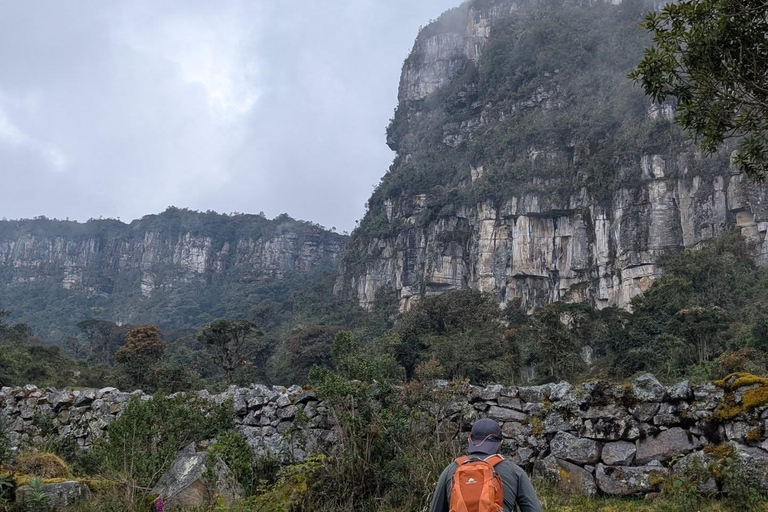 Hike through the Cloud Forest in Choachi, from Bogota