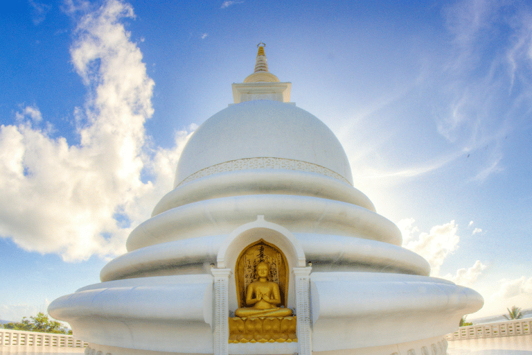 Galle Private City Tour with Fort, Beaches & Turtle Hatchery