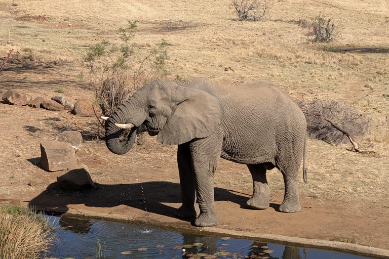 From Maputo: Kruger Safari and Island Escape 4-Day Tour