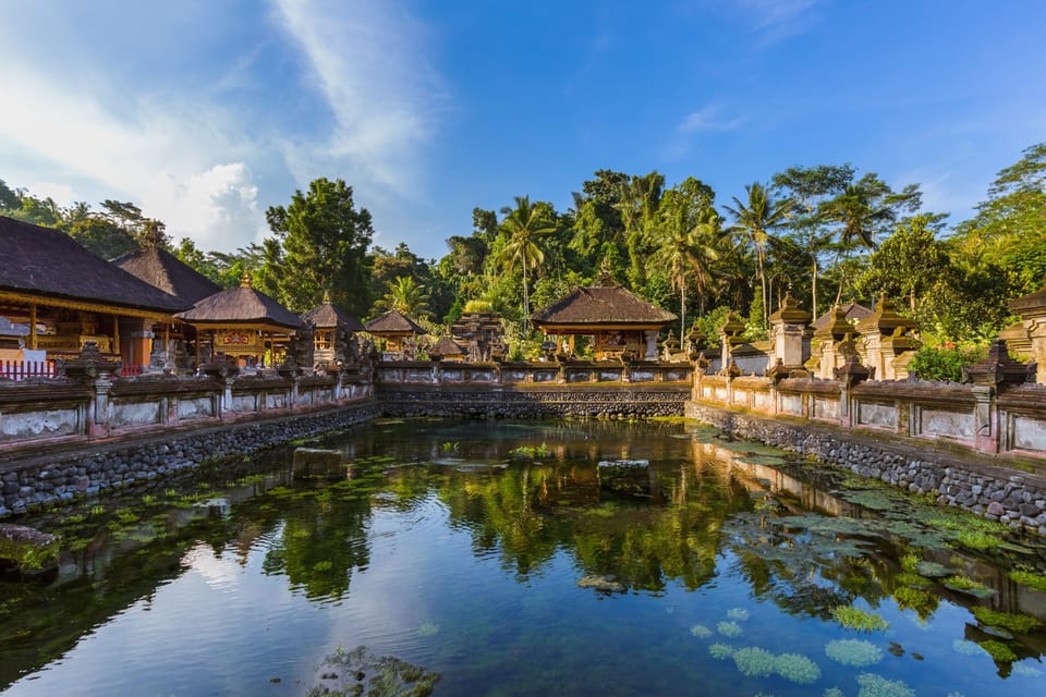 Bosque De Los Monos De Ubud Terraza De Arroz Templo Y Columpio De La