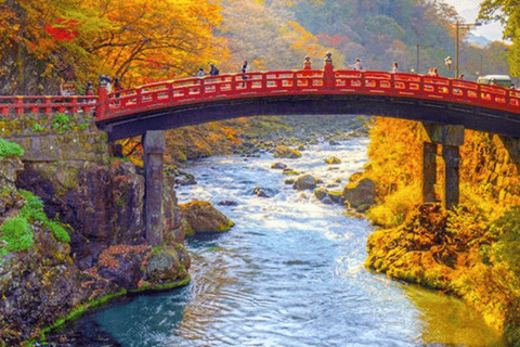 From Tokyo: Nikko Private Tour with Toshogu Shrine & Falls