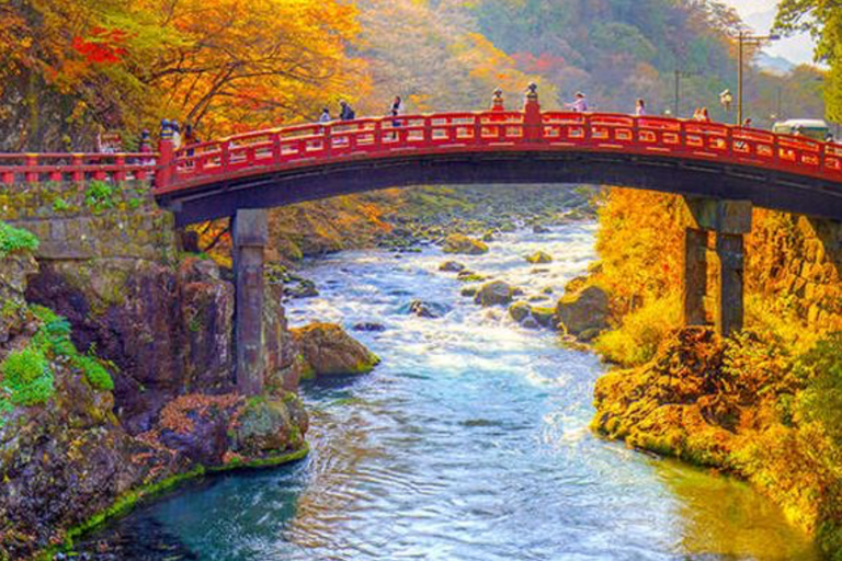 From Tokyo: Nikko Private Tour with Toshogu Shrine & Falls