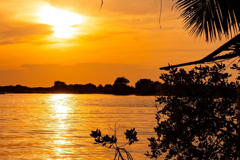 SriLanka: Kalpitiya Day Tour with Airport Transfer