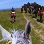 Urbino: 2 ore a cavallo nella Riserva Naturale del Furlo