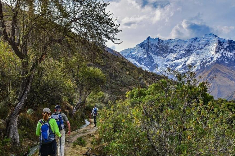 Depuis Cusco : Trek Salkantay - 5 jours 4 nuitsDepuis Cusco : Trek du Salkantay - 5 jours 4 nuits