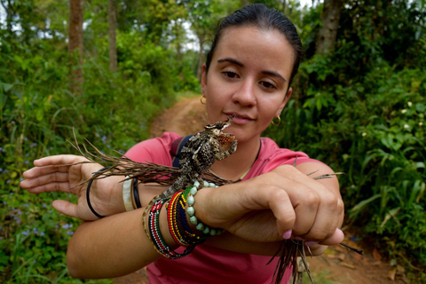 Moshi: Pernoita na aldeia de Chagga com opções para o segundo diaPasseio de um dia à aldeia Chagga e ao Kilimanjaro