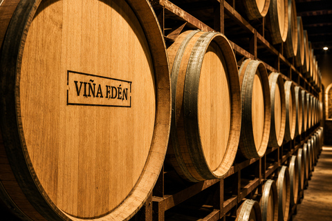 Pueblo Eden Escape: Wine, Lunch & Casapueblo Punta del Este