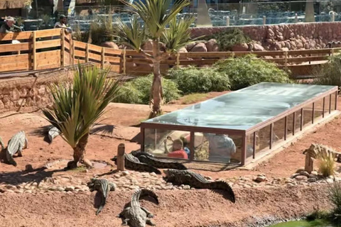 Agadir/Taghazout: Crocoparc Visit W- Entry Ticket & Transfer