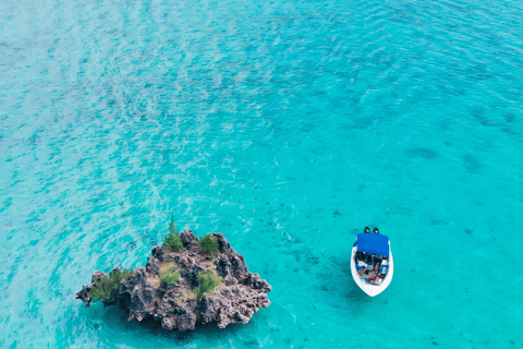 Nage avec les dauphins, île des Bénitiers, déjeuner, prise en charge et retourNage avec les dauphins, rocher de cristal, île des Bénitiers et déjeuner