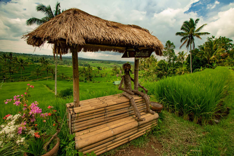 Bali: Half-Day Tour UNESCO Sites Ulun Danu and Jatiluwih Private Tour With Entry Tickets