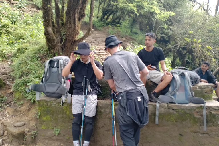 Pokhara: Mardi Himal Trek with Chitwan National Park Tour