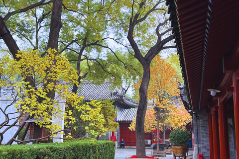 Beijing：Hutong Museum Cluster Tour—Culture, Temples & Life