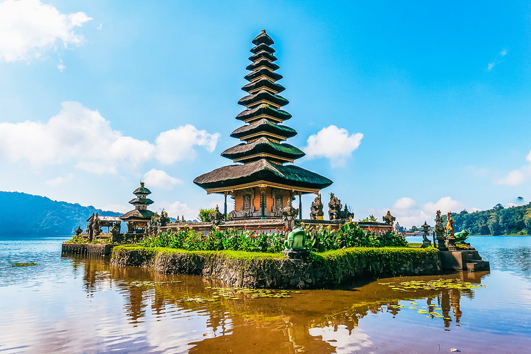 North Bali Sunrise Tour with Dolphins, Waterfalls & Temples Private Premium Option