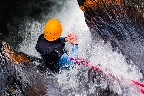 Queenstown: Gibbston Valley Half-Day Canyoning Adventure