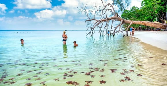 Phu Quoc: North Island Jeep Tour, Rach Vem Beach & Starfish