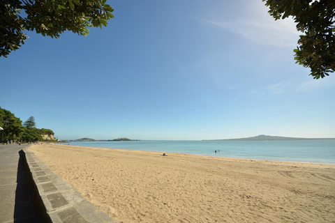 Auckland: Half-Day City Highlights Tour with Pickup