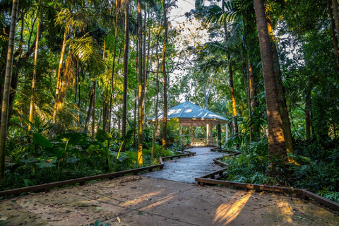 Best of Nadi: Guided Half-Day City Tour with Hotel Pickup