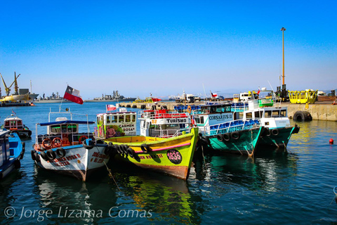 From Santiago: Full-Day Tour of Viña del Mar and Valparaiso
