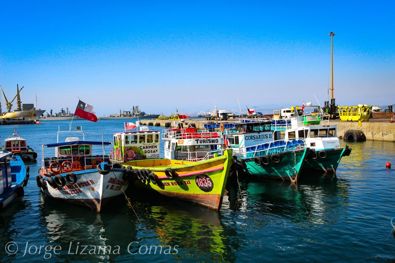 From Santiago: Full-Day Tour of Viña del Mar and Valparaiso
