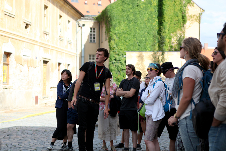 Desde Praga: visita a Kutná Hora y la capilla de los huesosTour privado en autobús privado