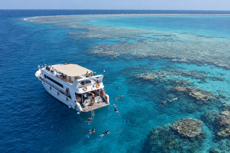 Marsa Alam: Sataya Dolphin House Snorkeling Trip with Lunch