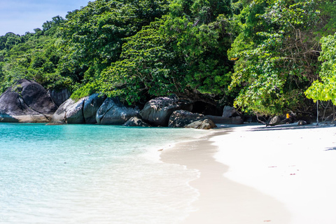 Depuis Krabi : Excursion d&#039;une journée en hors-bord dans les îles SimilanVisite d&#039;une journée à Join In avec transfert