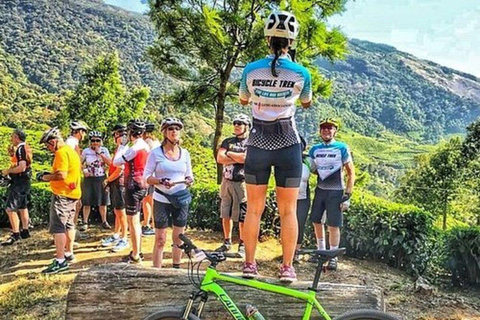 Tour in mountain bike lungo i sentieri del tè a KandyGiro in mountain bike lungo il Tea Trails Tour a Kandy