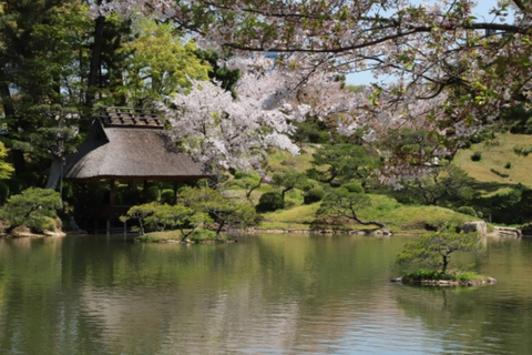 Hiroshima’s Untold Stories: History, Recovery & Peace
