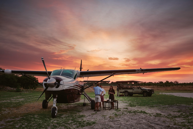 Maun: Vuelo panorámico al Delta del Okavango con servicio de recogida del hotelMaun: Vuelo panorámico por el Delta del Okavango con servicio de recogida del hotel