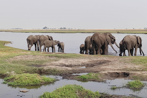 Excursion d&#039;une journée à partir des chutes Victoria : Safari terrestre et fluvial dans le PN de Chobe