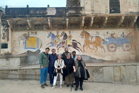 Desde Delhi: Excursión de un día a Jaipur con el Fuerte Amber y el Palacio de la CiudadCoche + Guía