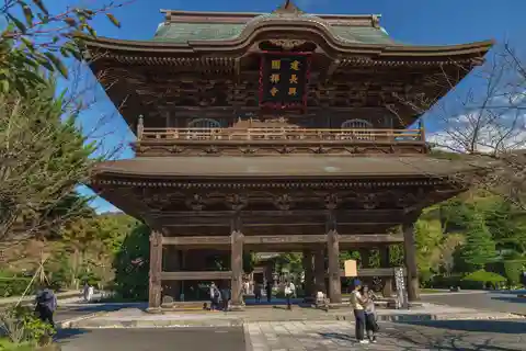 Guided Kamakura Private Tour GREEN NUMBER PLATES