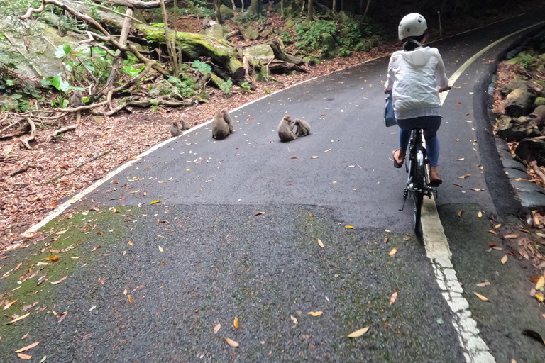 Yakushima: Outdoor 2-Activity Package Pick Up / Drop Off