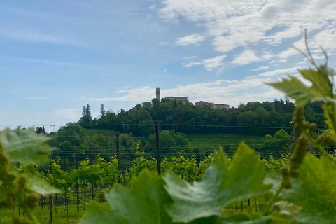 Prosecco Hills Private Tour All inclusive. 2 wineries+lunch