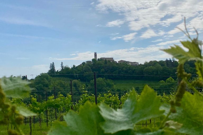 Prosecco Hills Private Tour All inclusive. 2 wineries+lunch